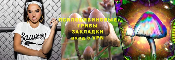 2c-b Абаза