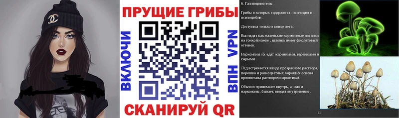 Галлюциногенные грибы ЛСД  купить  сайты  МЕГА как зайти  Правдинск 